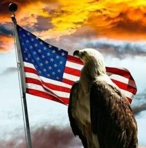 Meet your Posher, Irene